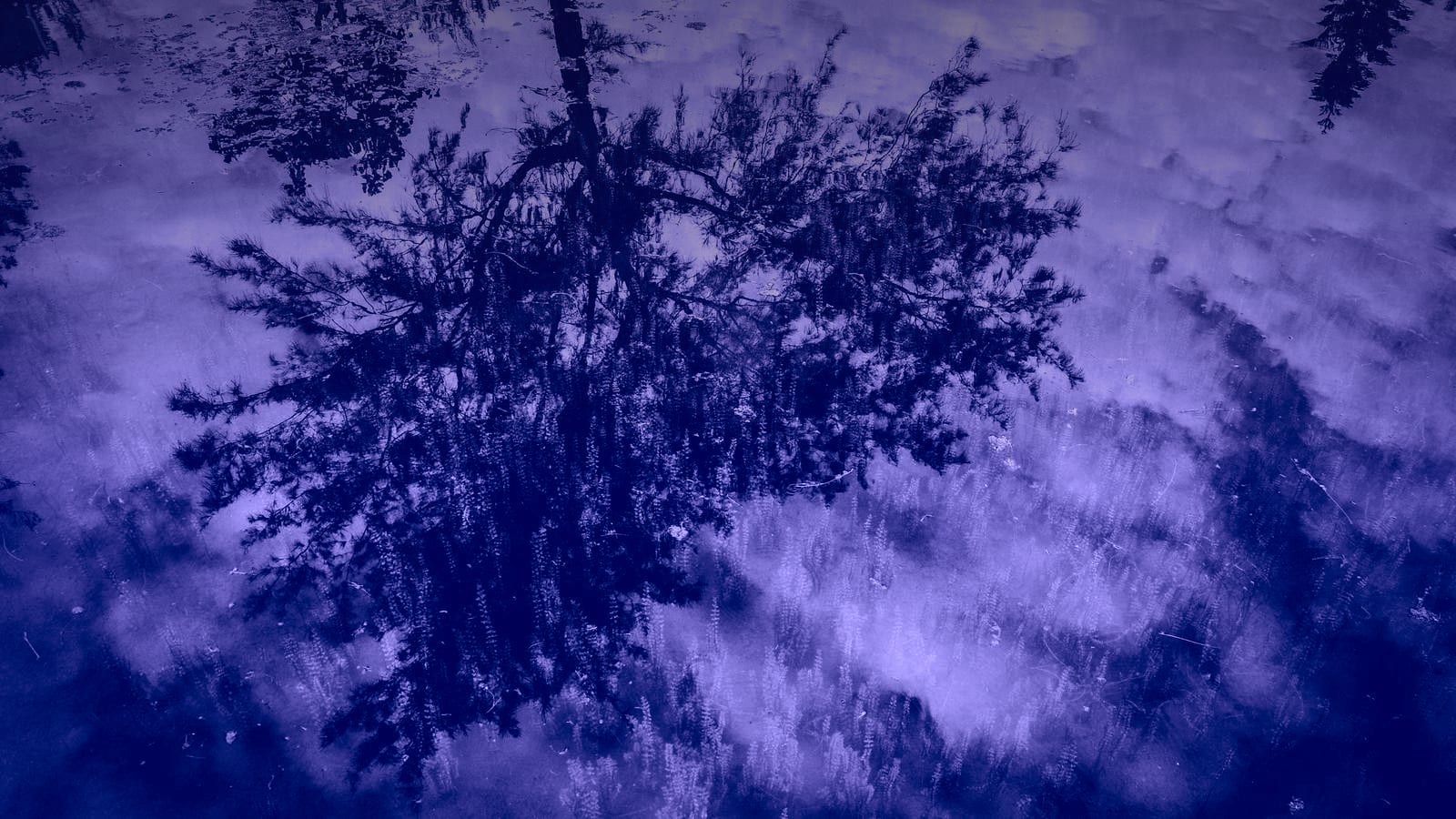 The valley of disappointment: why month one always hurts